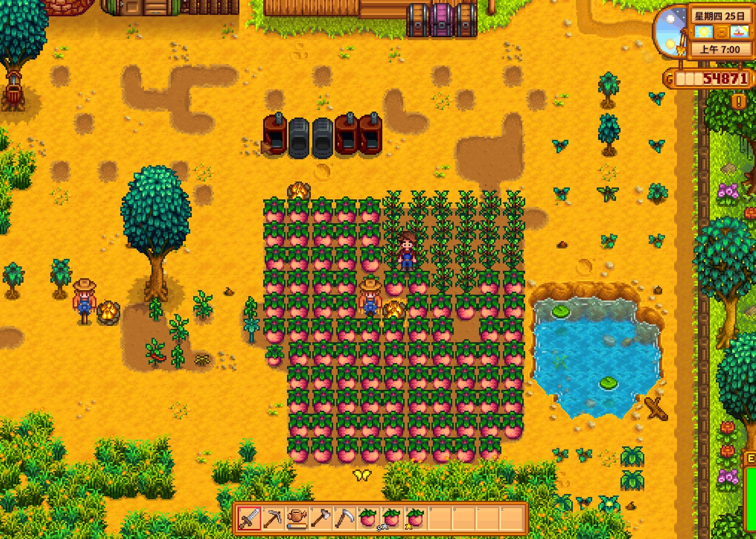 上古卷轴5：天际 年度版 截图10